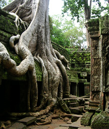 Viajar en bicicleta - Angkor Wat - Otra Vida es Posible